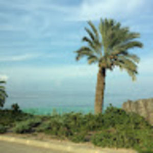 Meet your Posher, Sussie